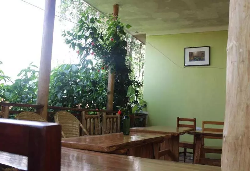 تختخواب و صبحانه Kibale Eco Home