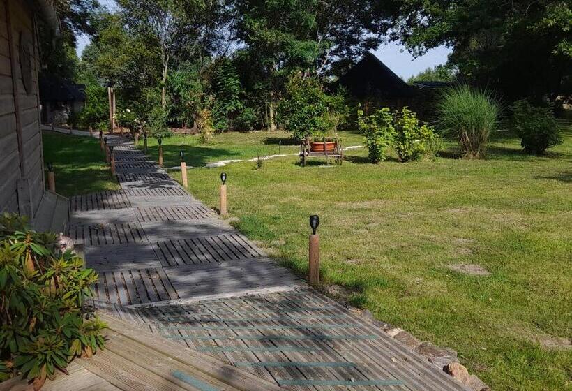 Bed and Breakfast Nedleys Glamping