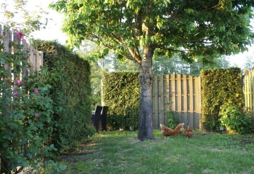 Bed and Breakfast Vakantiehuis De Hooiberg