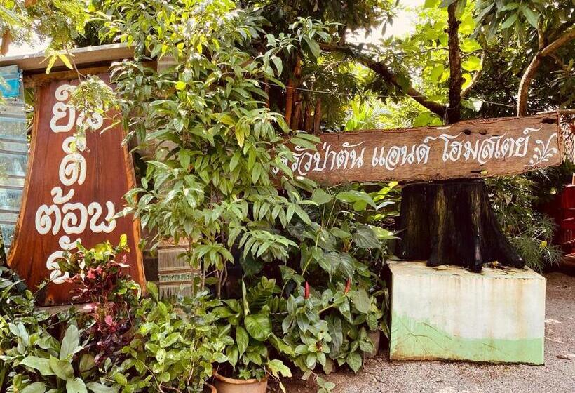 Pension ครัวป่าตันแอนด์โฮมสเตย์