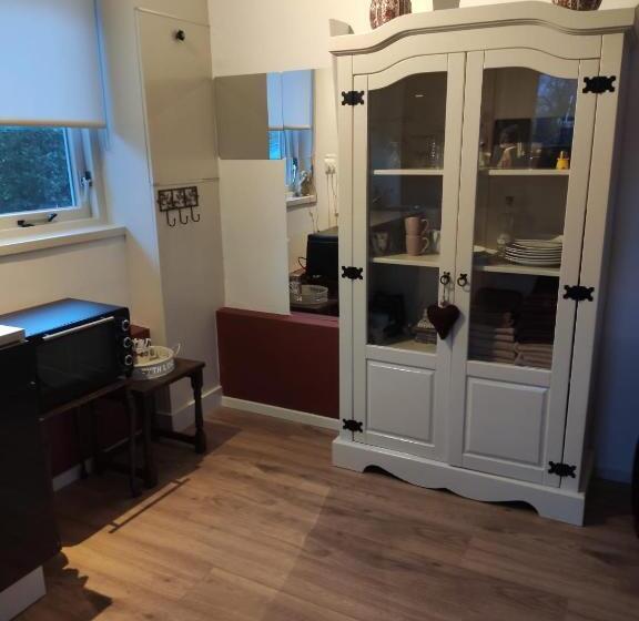 بنسيون Appartement Ruinerwold