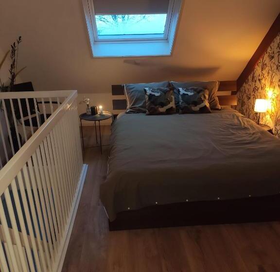 بنسيون Appartement Ruinerwold