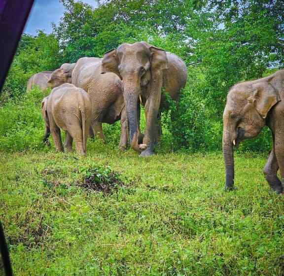 膳宿费 Nice View Safari Bungalow