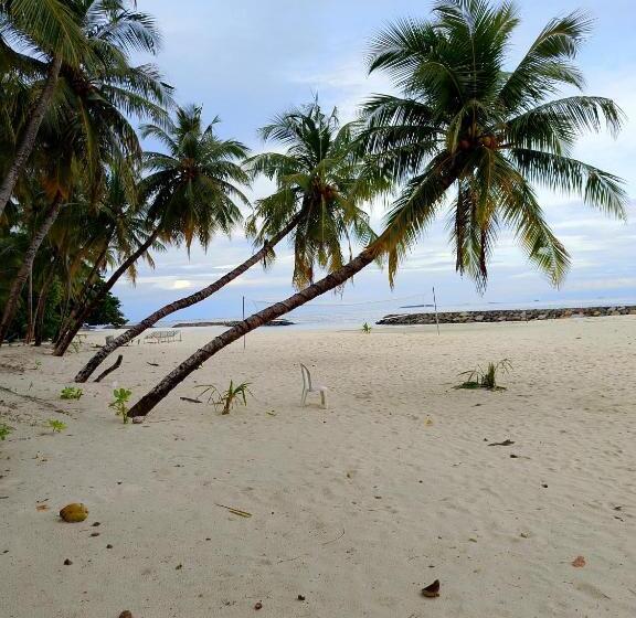 پانسیون Turtle Inn Dharavandhoo