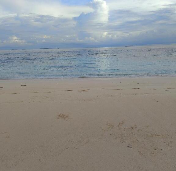 پانسیون Turtle Inn Dharavandhoo