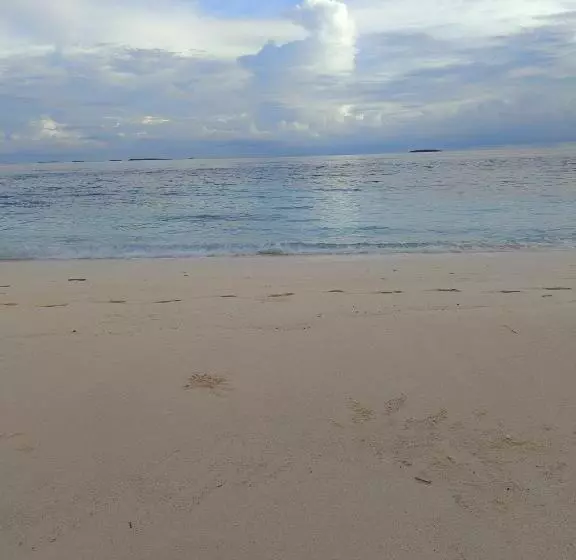 پانسیون Turtle Inn Dharavandhoo