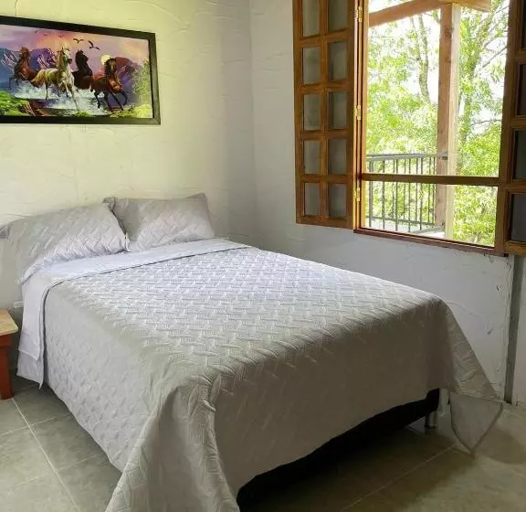 ペンション Xplora Hostel