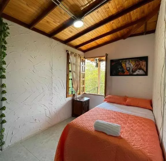 ペンション Xplora Hostel