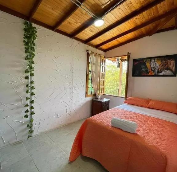 ペンション Xplora Hostel