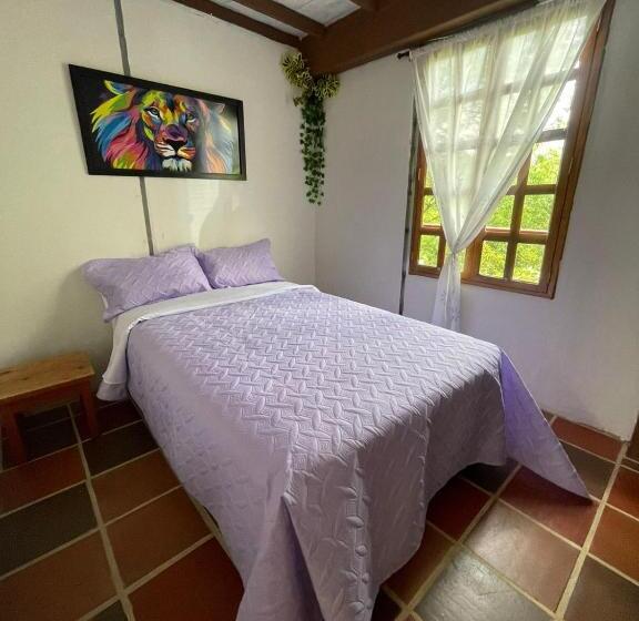 Pansiyon Xplora Hostel