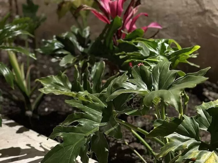 Retkeilymaja Mi Ranchito Casa De Huéspedes