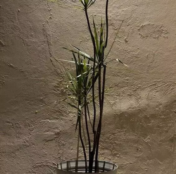 Retkeilymaja Mi Ranchito Casa De Huéspedes