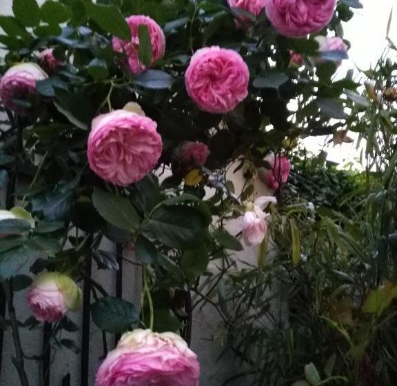 민박 Maison Des Peupliers