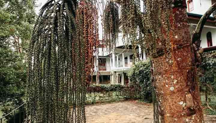 Otel Legend Of Selagama