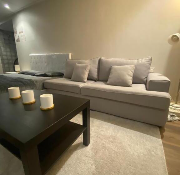 膳宿费 استديو غرفه بأثاث مريح