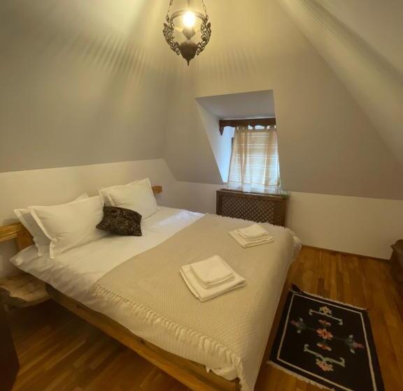 펜션 Apartament Tisa Cătun