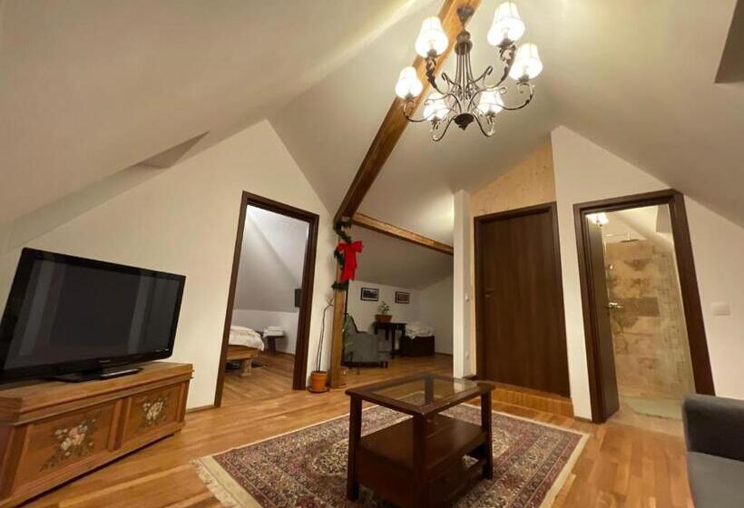 펜션 Apartament Tisa Cătun