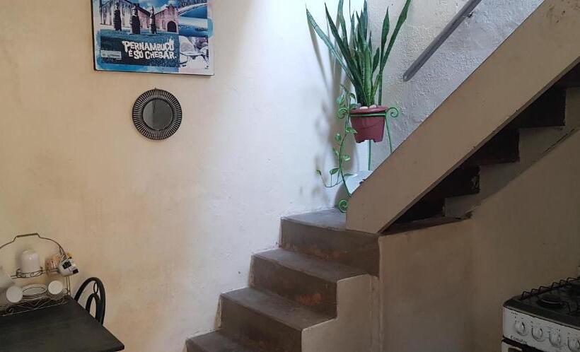 هاستل Acero Lar