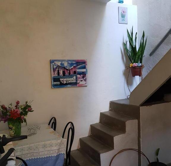 هاستل Acero Lar