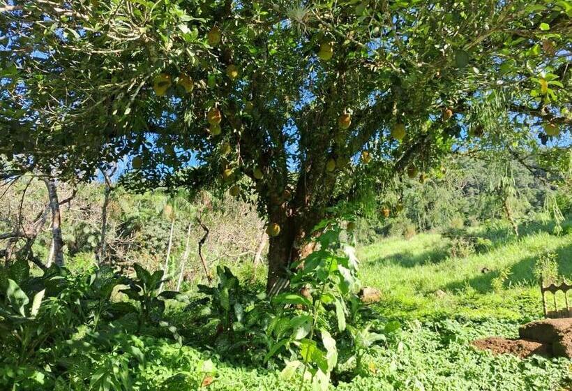 ユースホステル Pousada Sítio Santa Rita