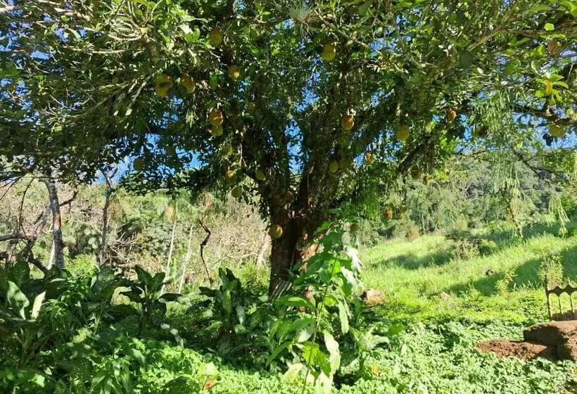 ユースホステル Pousada Sítio Santa Rita