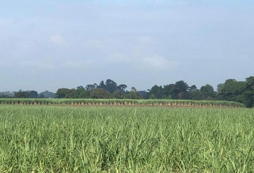 Aparta Hotel Plenitud