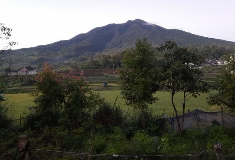 Bungo Bed & Breakfast Workation