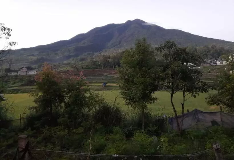 Bungo Bed & Breakfast Workation
