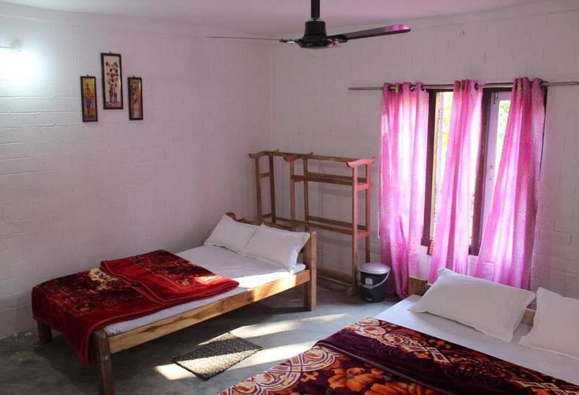 酒店 Changmai S Inn Kaziranga