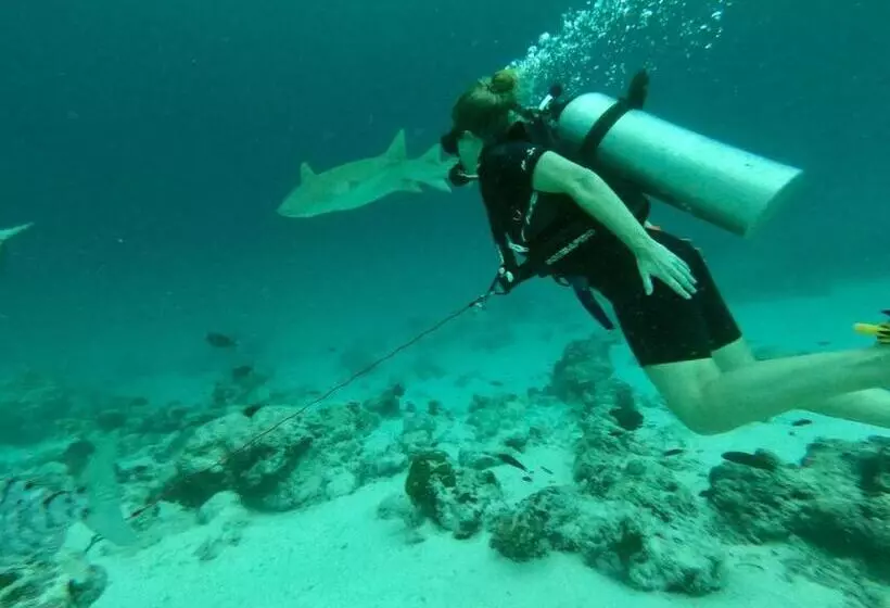 هتل Fulidhoo Hathaa Retreat