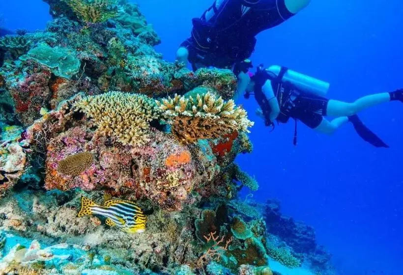 هتل Fulidhoo Hathaa Retreat