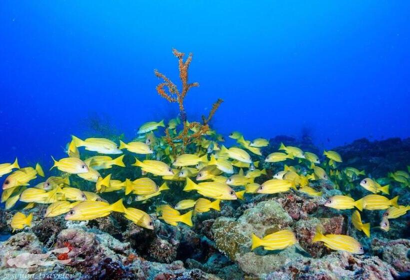 هتل Fulidhoo Hathaa Retreat