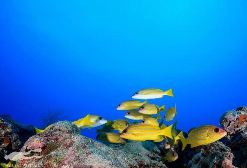 هتل Fulidhoo Hathaa Retreat