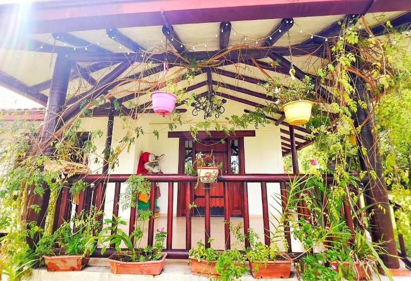 Hotel Kamelot Colonial