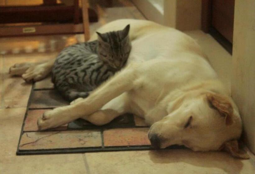 ホテル La Valle Delle Rose