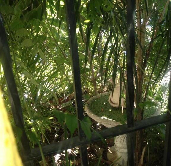 پانسیون Hostal Green House