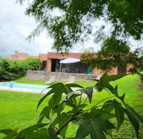 פנסיון Las Pircas 182