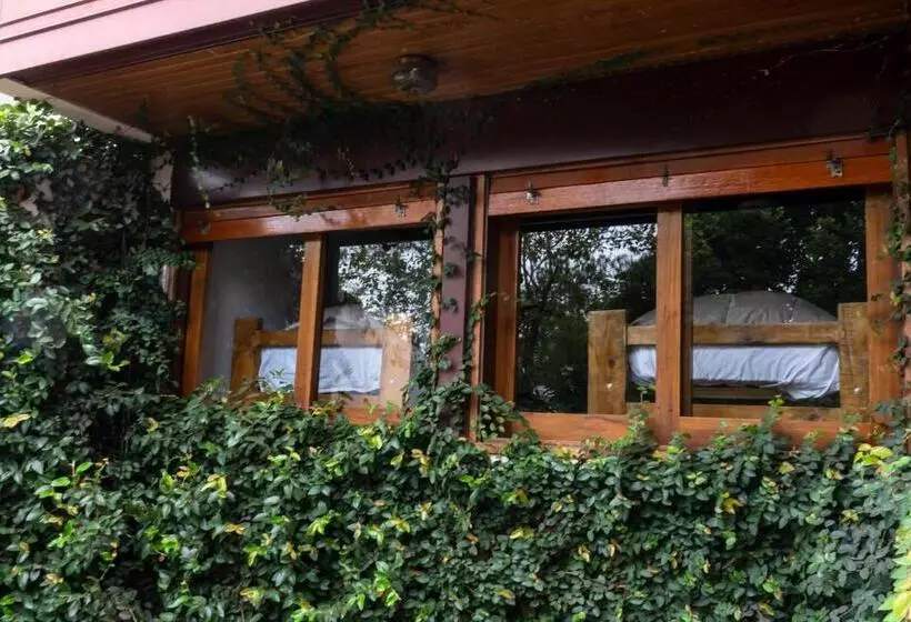 Casa Roble   B&b