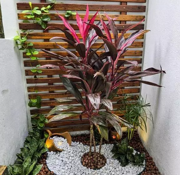 Hotelli Pousada Viva Praia