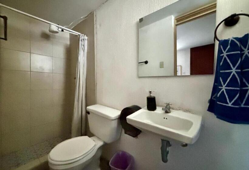 پانسیون Nomad House