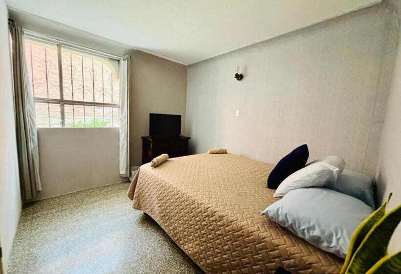 پانسیون Nomad House