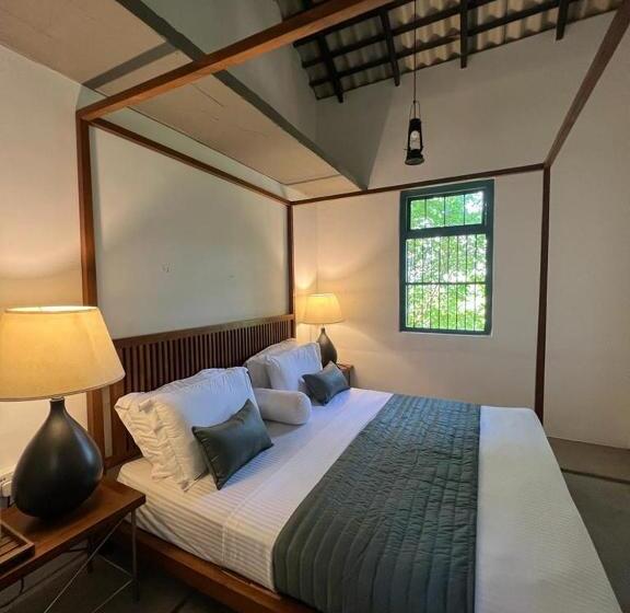 住宿加早餐  Maligathanna Villa