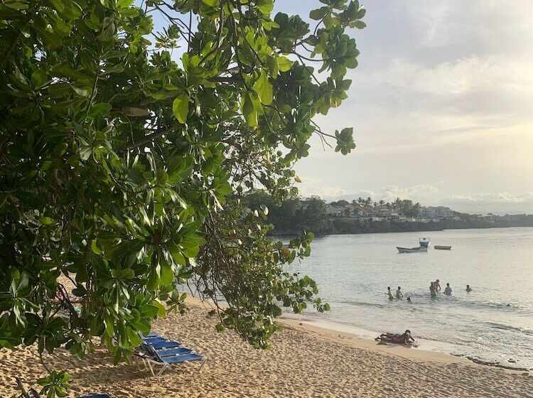 Hillmon S Hotel Bar Lounge