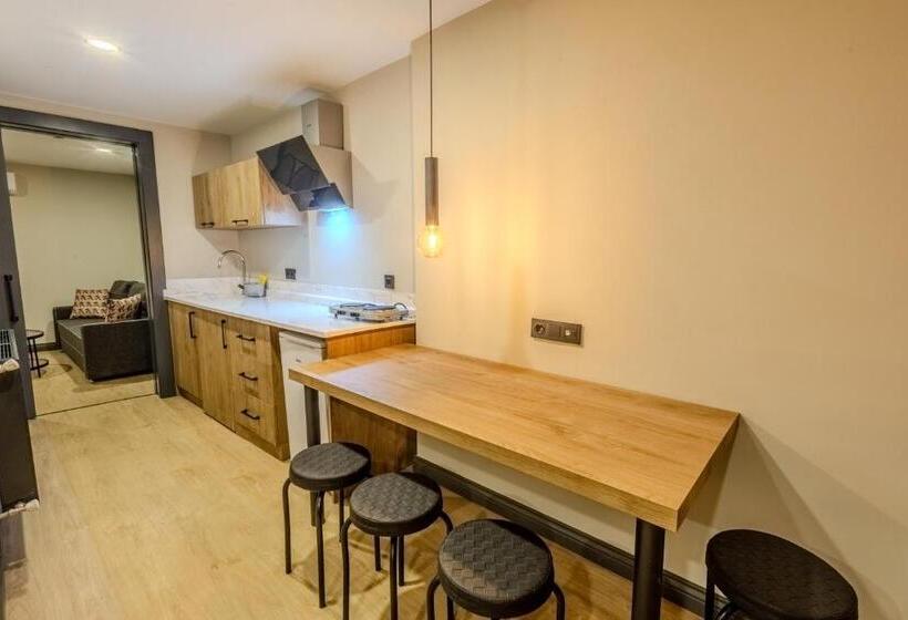 ホテル Leli̇ko Suites