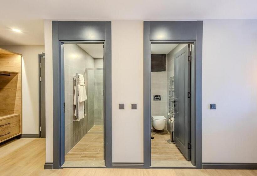 ホテル Leli̇ko Suites