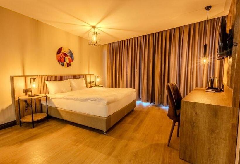 ホテル Leli̇ko Suites