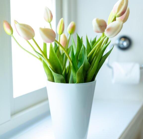 بنسيون Anita På Gästis I Anderslöv