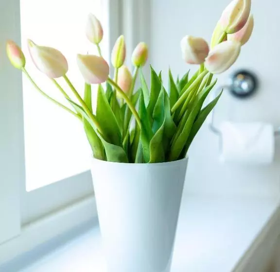 ペンション Anita På Gästis I Anderslöv