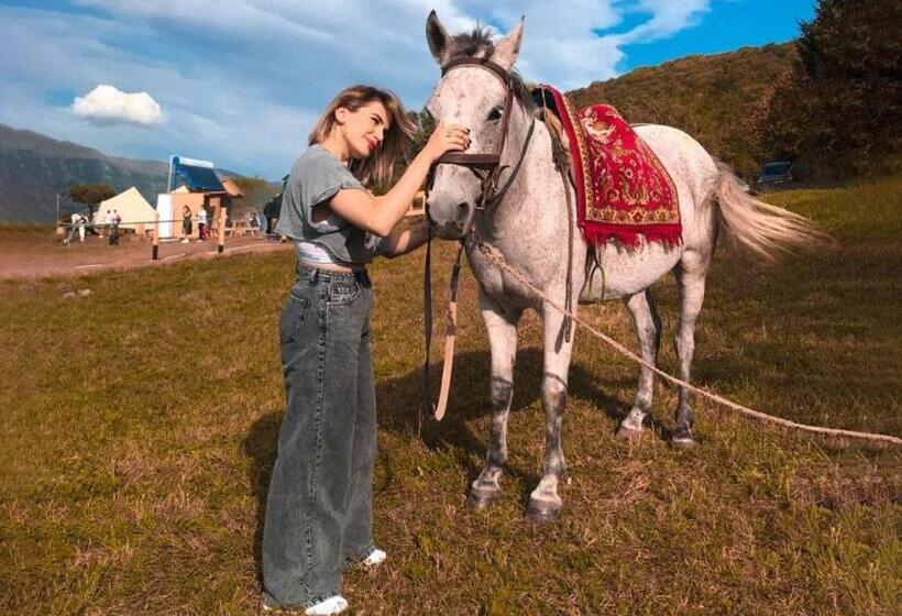 Pensão Tatul Guest House