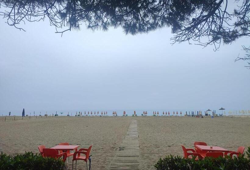 تختخواب و صبحانه Edi Murrizi